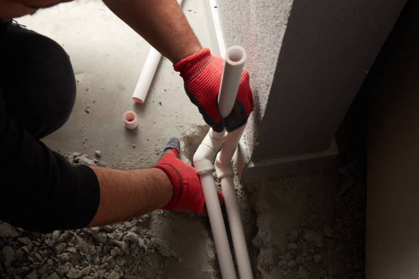 Best Plumbing Inspection Services  in Farmersville, CA