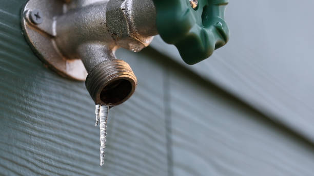 Best Emergency Plumber  in Farmersville, CA